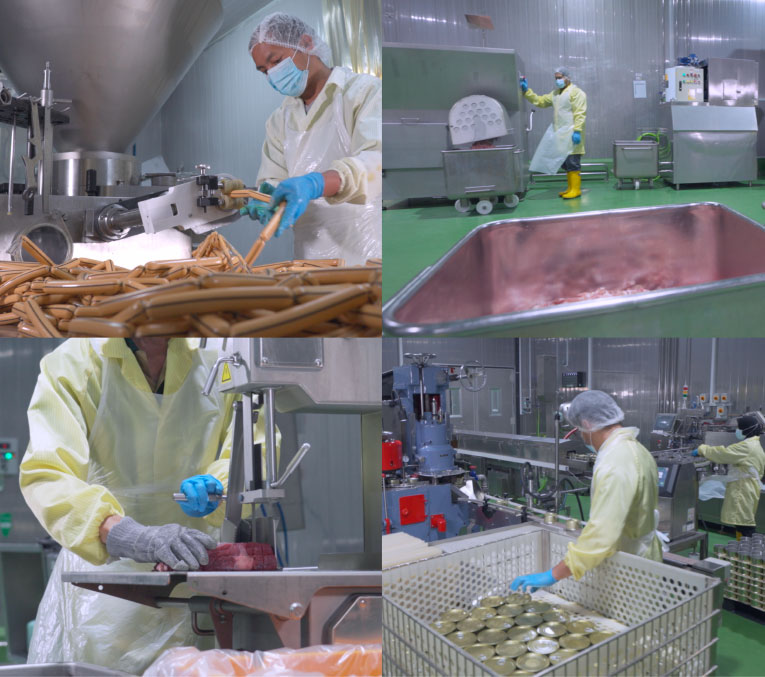 Manufacturing Capability